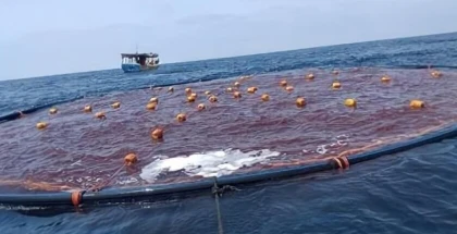 مشاريع إنتاج مزارع الاستزراع السمكي البحري في غزة تواجه تعثر
