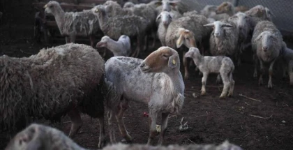صورة تعبيرية